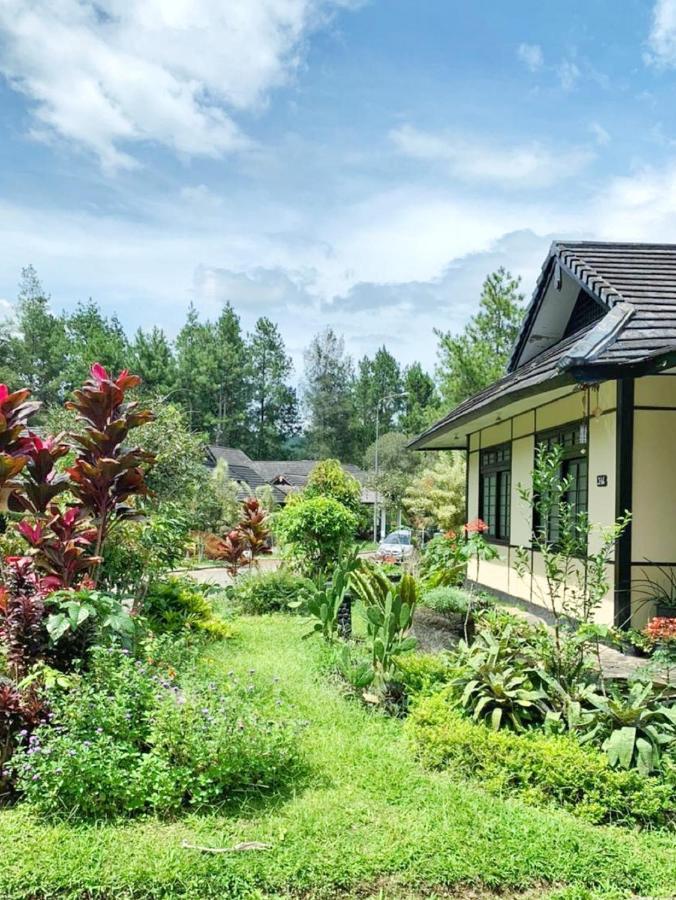 Designer Villa Osaka Puncak Kültér fotó