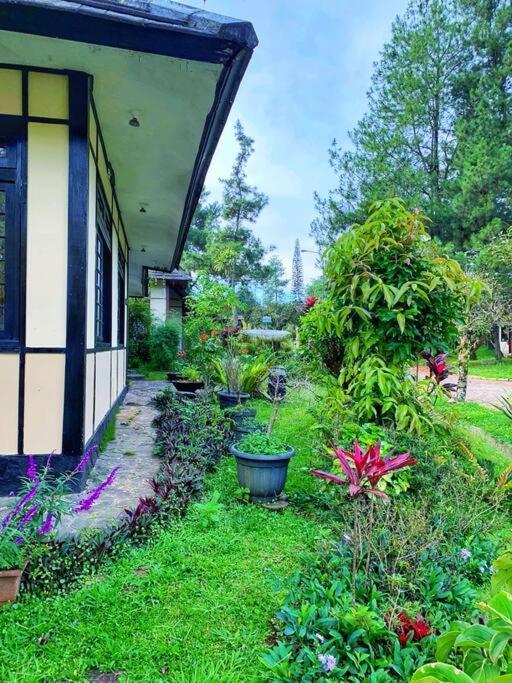 Designer Villa Osaka Puncak Kültér fotó