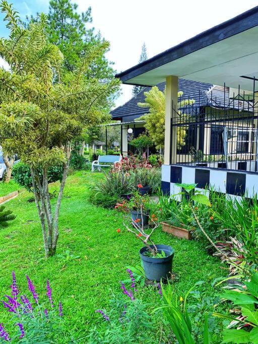 Designer Villa Osaka Puncak Kültér fotó